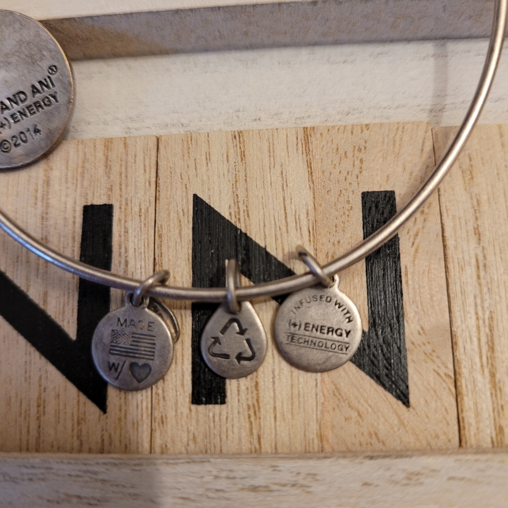 Alex & Ani 2014 Energy Infused Path of Life Bracel - Picture 7 of 13